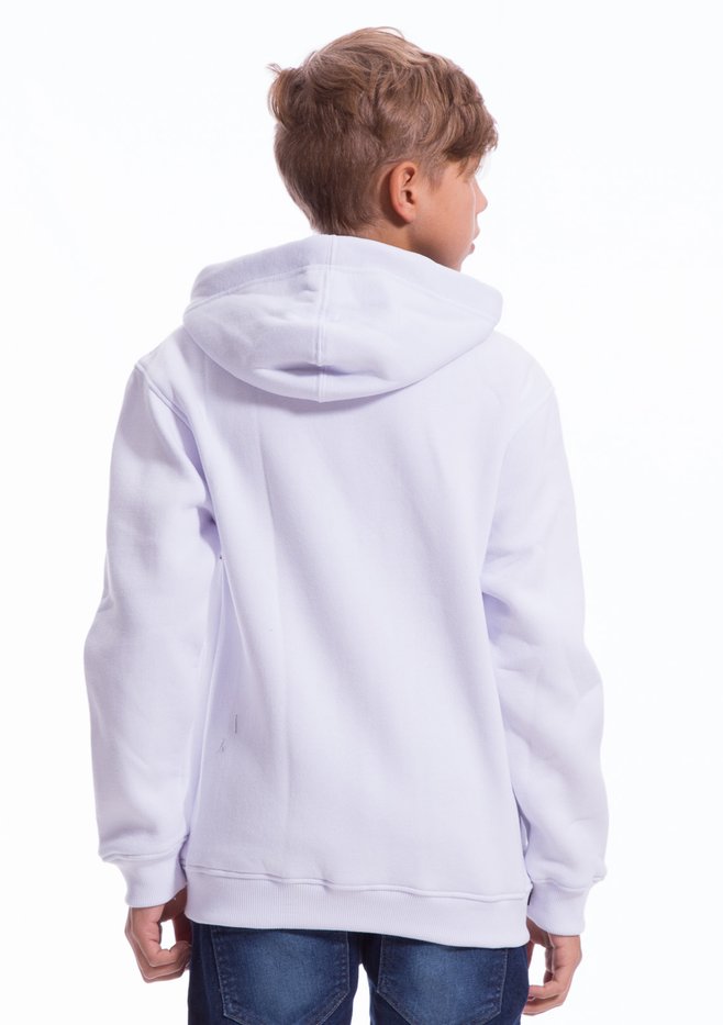 zimg 4448 2 17254j 2