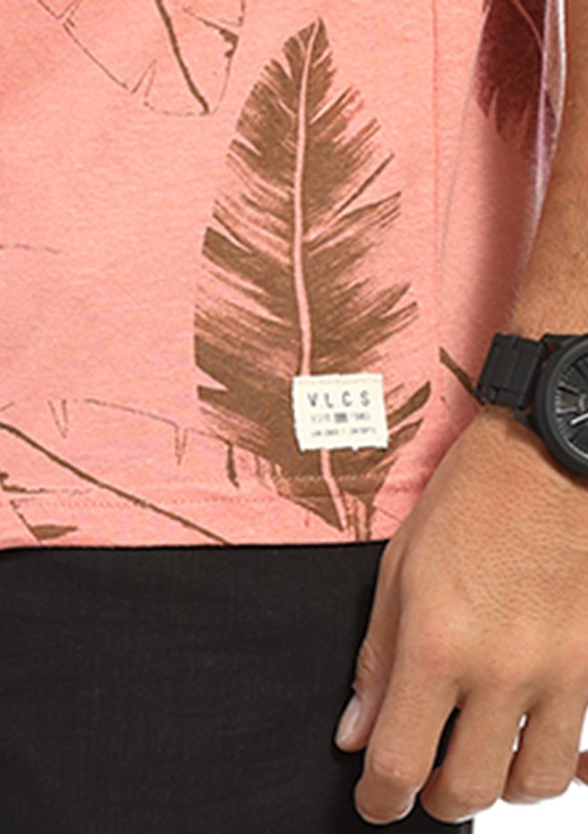 zimg 21269 2 22667 13