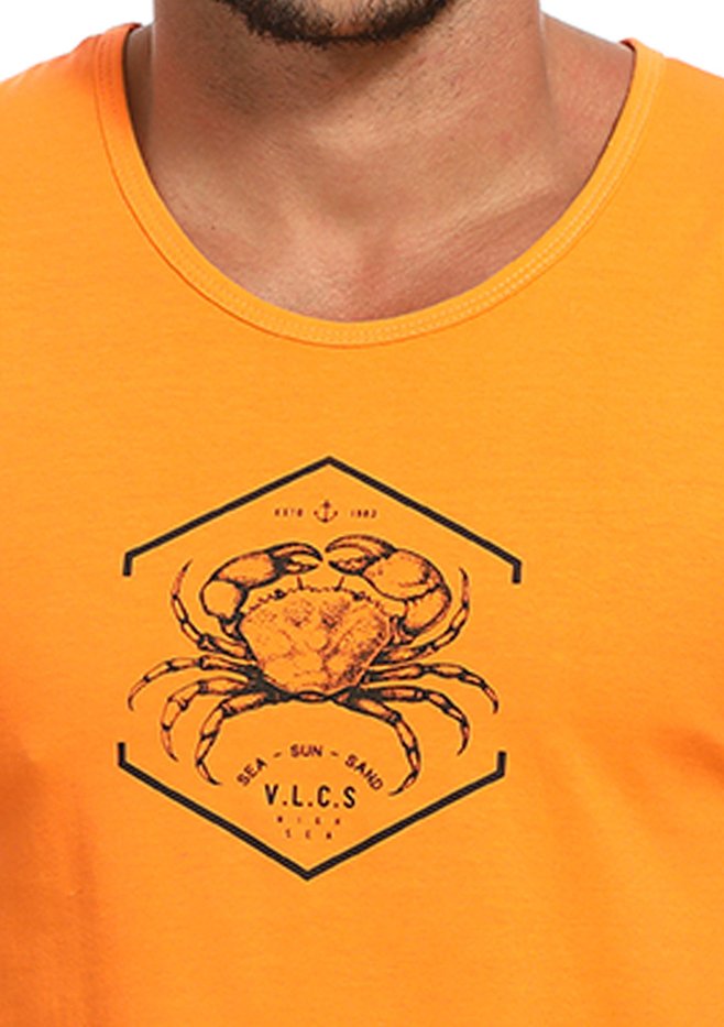 zimg 22059 2 22731 e 235