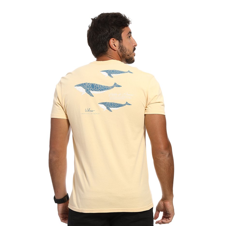 zimg 22467 0 22777 14