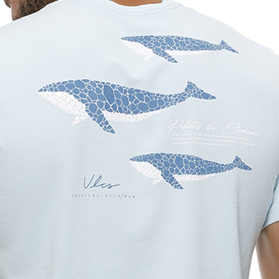 zimg 22463 2 22777 28