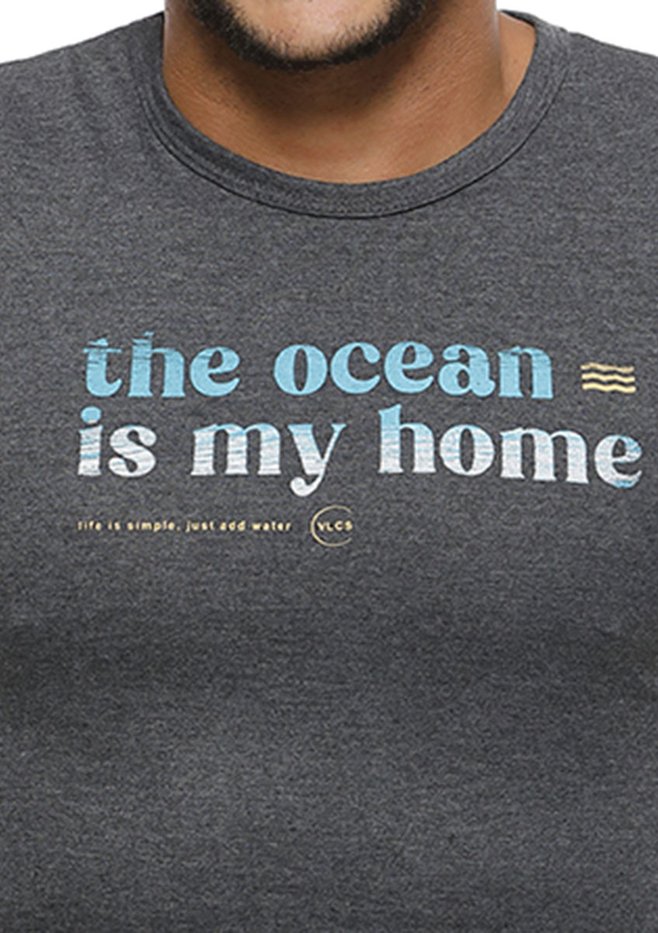 zimg 22177 2 22738 29