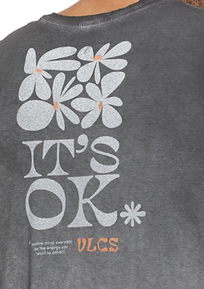 zimg 22247 2 22740 3