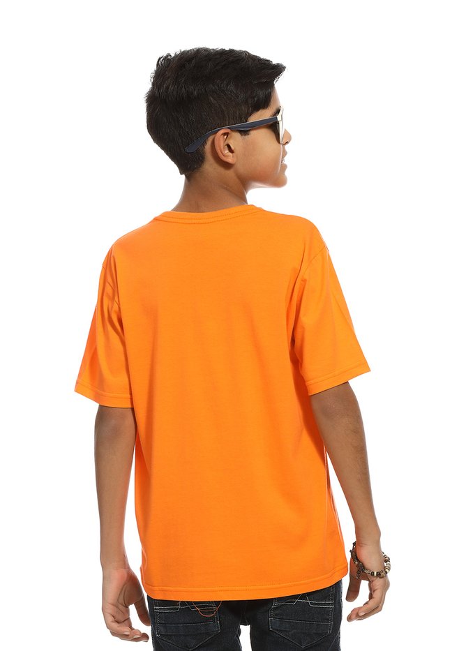 zimg 21676 2 22690j 235