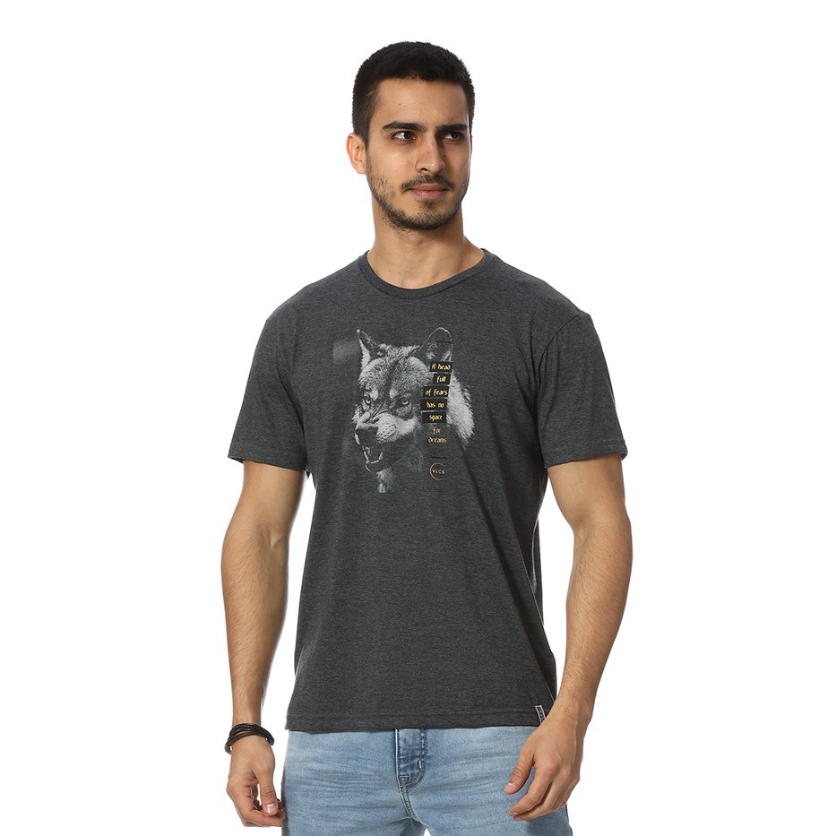 zimg 24193 2 23115 29