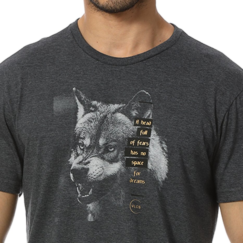 zimg 24195 2 23115 29