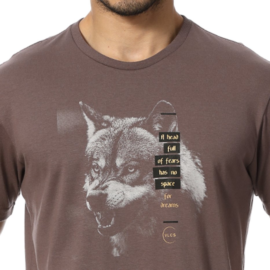 zimg 24191 2 23115 241