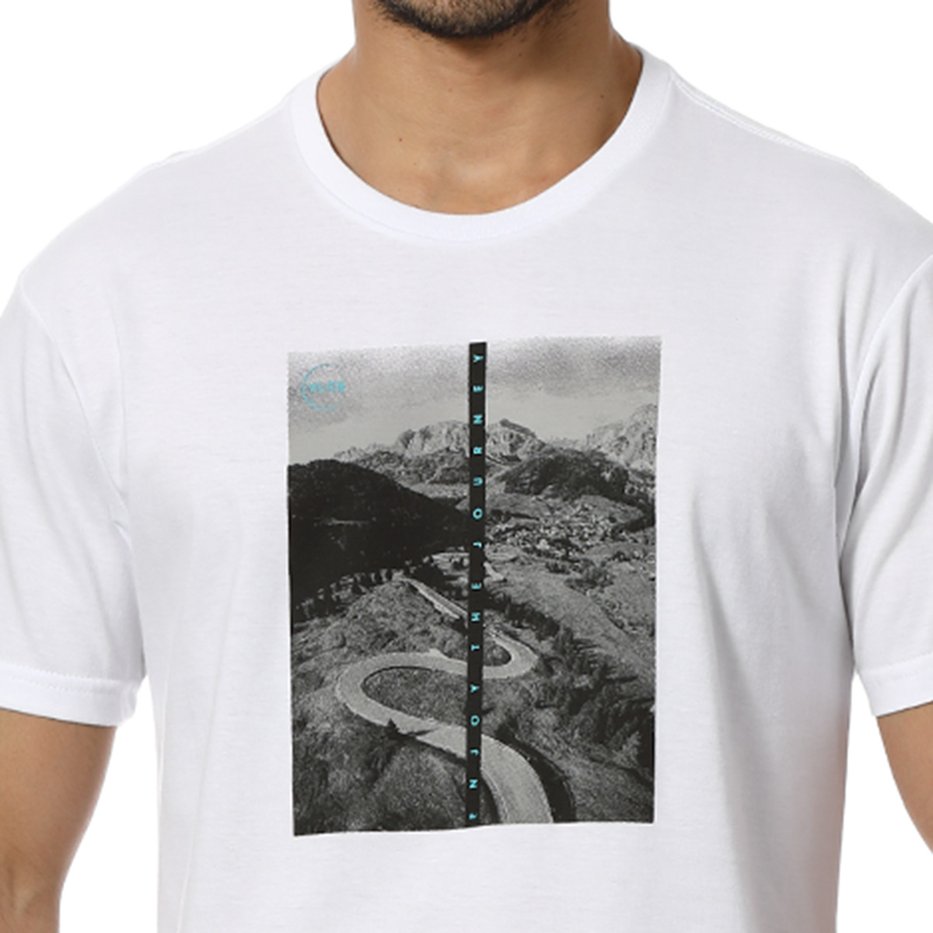 zimg 24261 2 23119 2