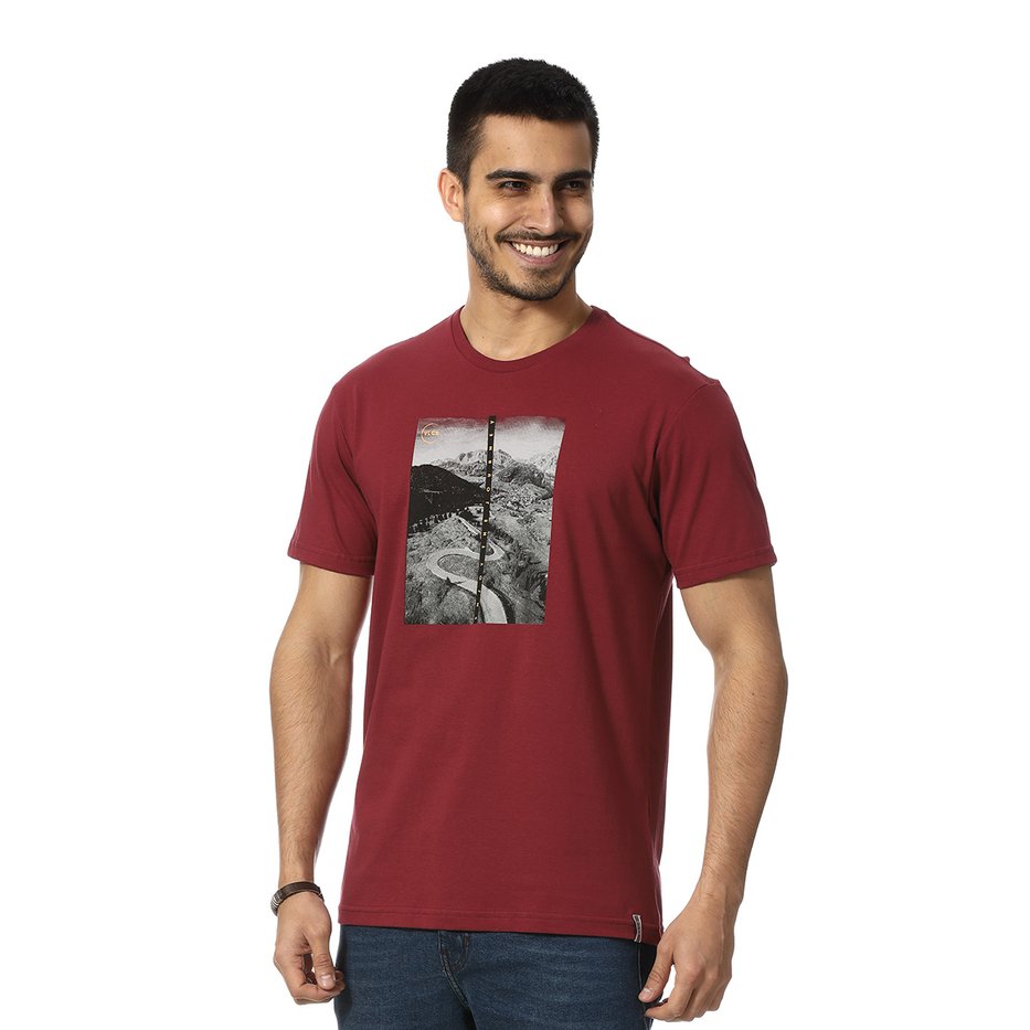 zimg 24254 2 23119 104