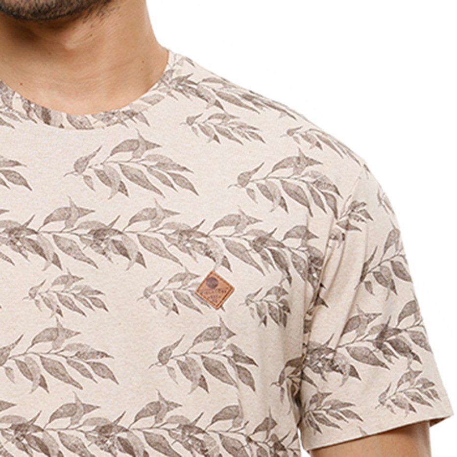 zimg 24632 2 23154 22