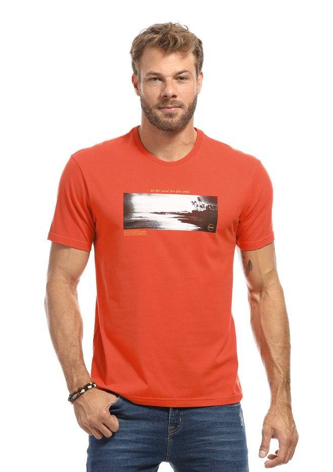 zimg 26673 2 23248 279