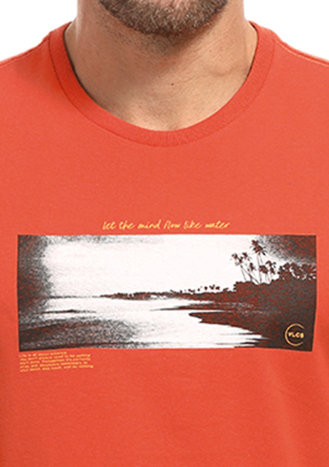 zimg 26675 2 23248 279