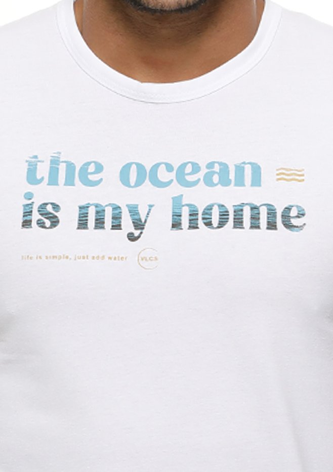 zimg 22181 2 22738 2