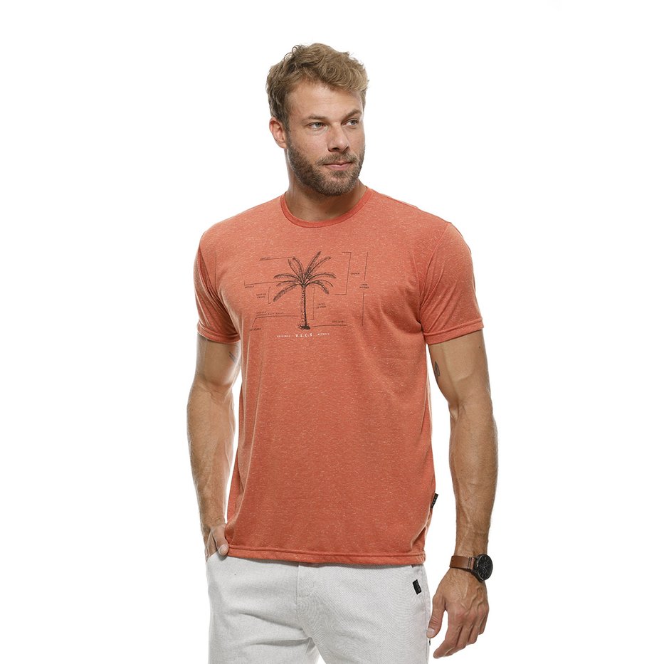 zimg 26885 2 23259 211