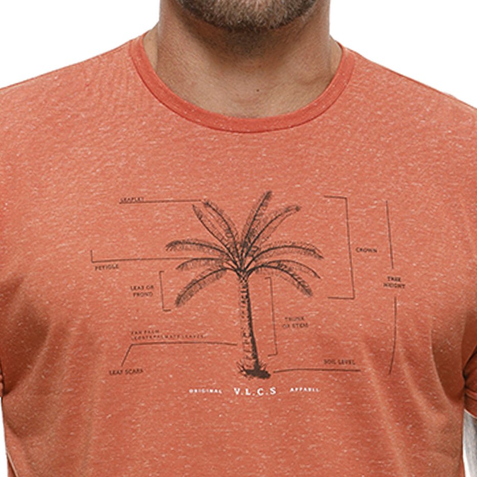 zimg 26888 2 23259 211