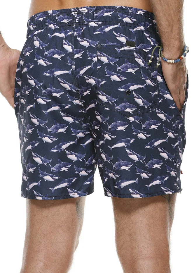 zimg 27998 2 23563 128