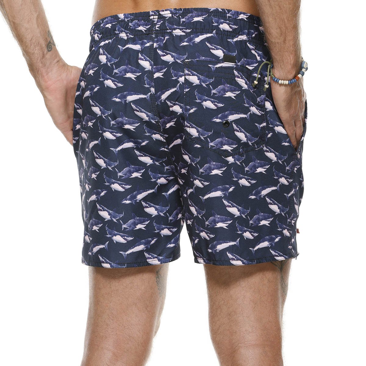 zimg 27998 2 23563 128