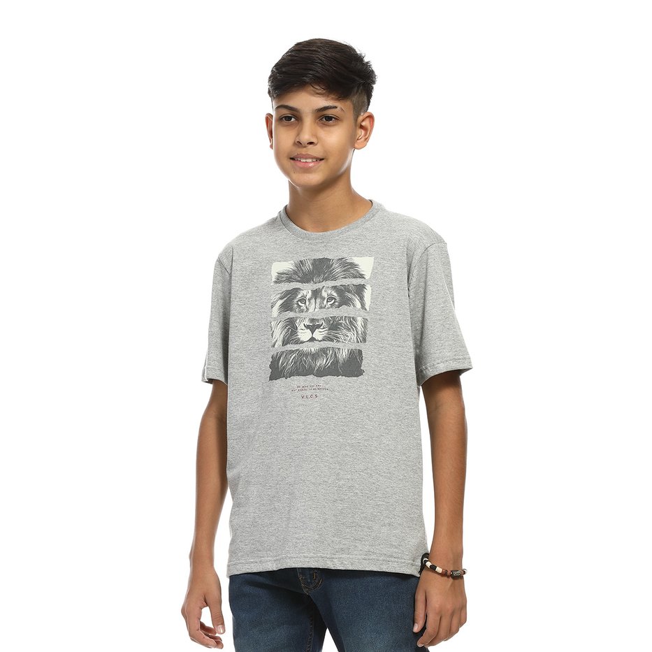 zimg 26517 0 23239j 49