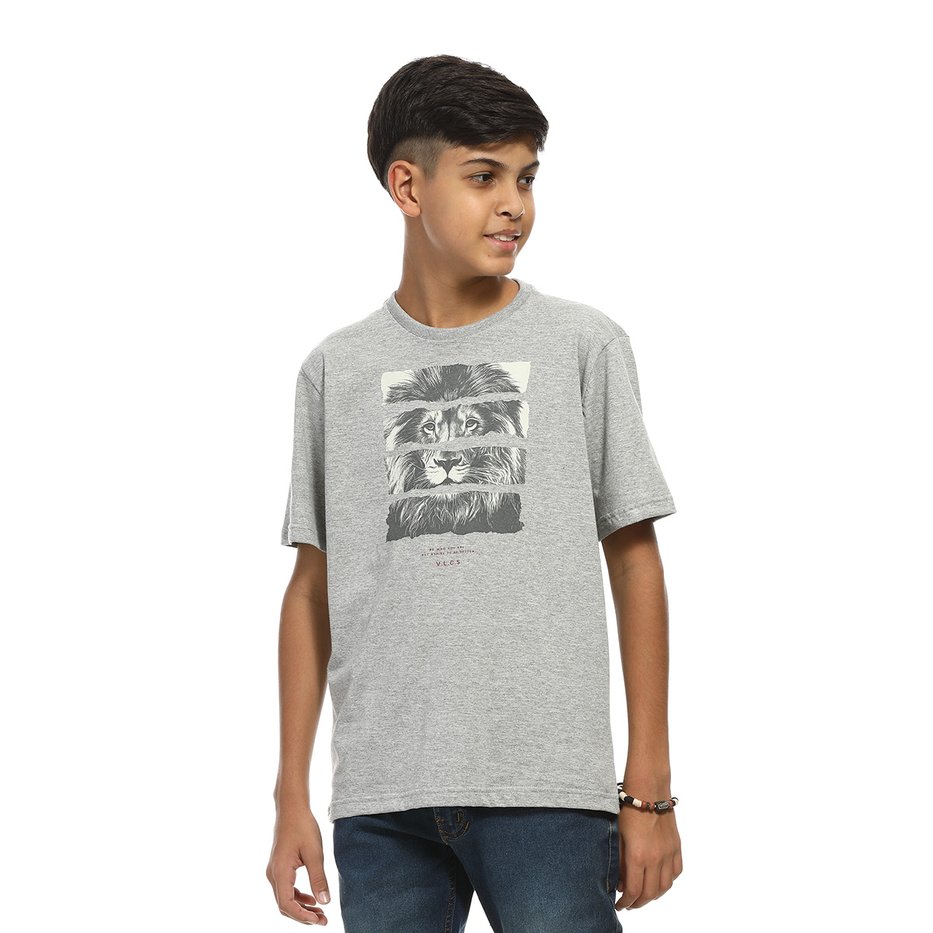 zimg 26518 2 23239j 49