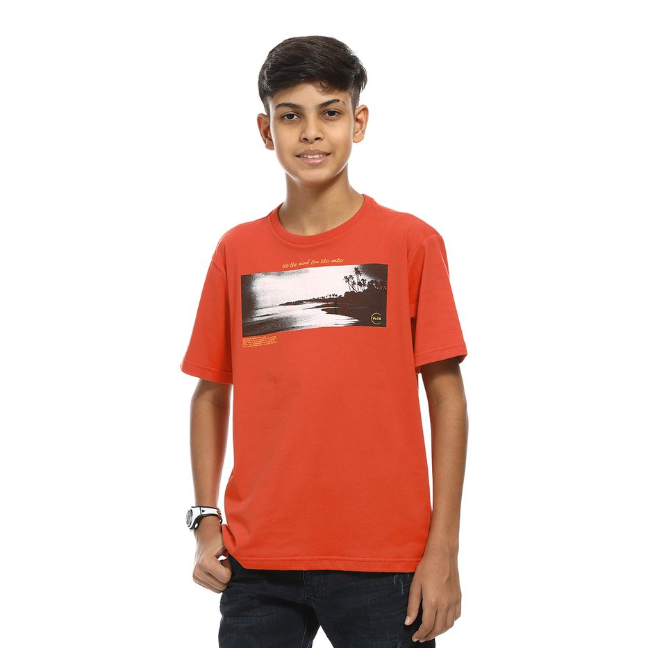 zimg 26698 2 23248j 279