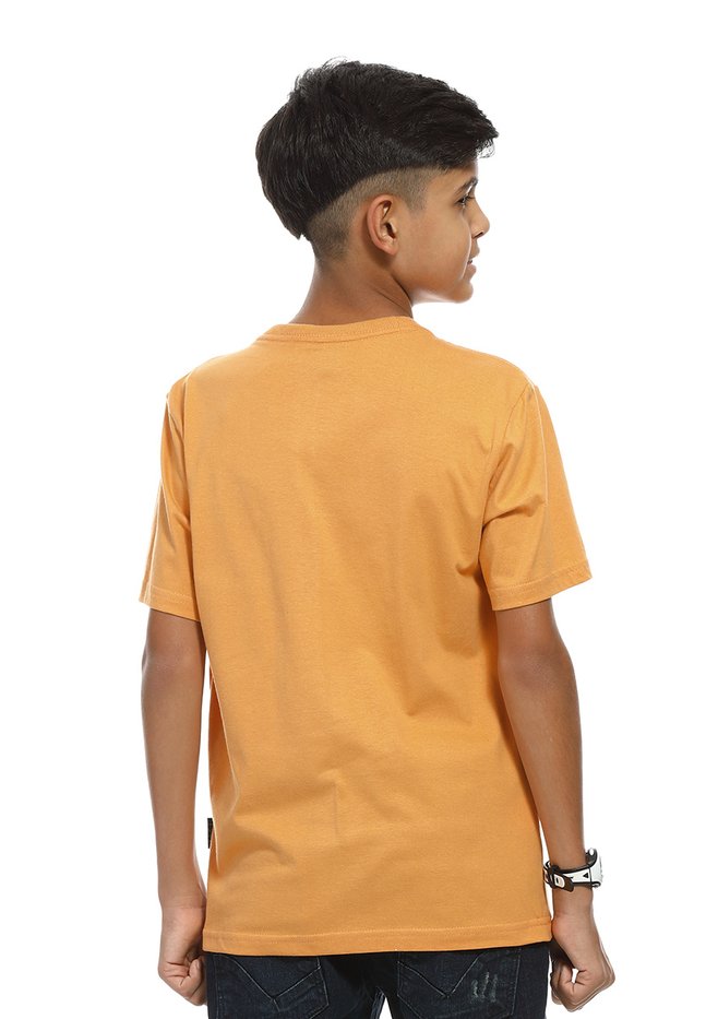 zimg 26100 2 23232j 277