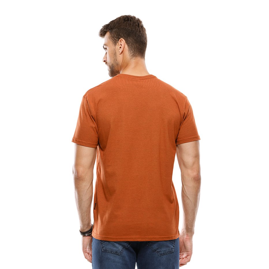 zimg 30433 2 24132 e 171