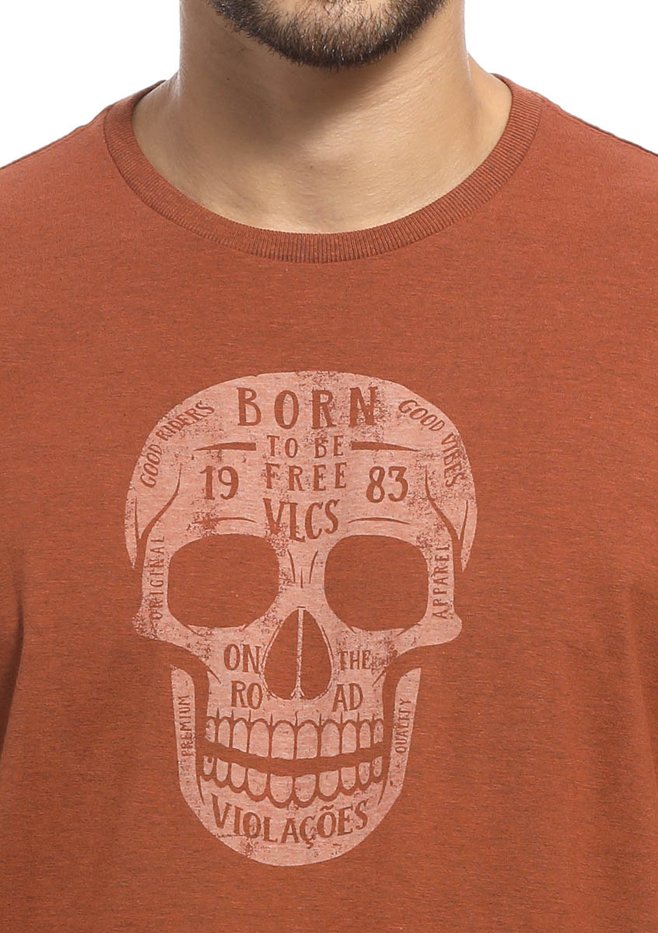 zimg 30586 1 24136 171