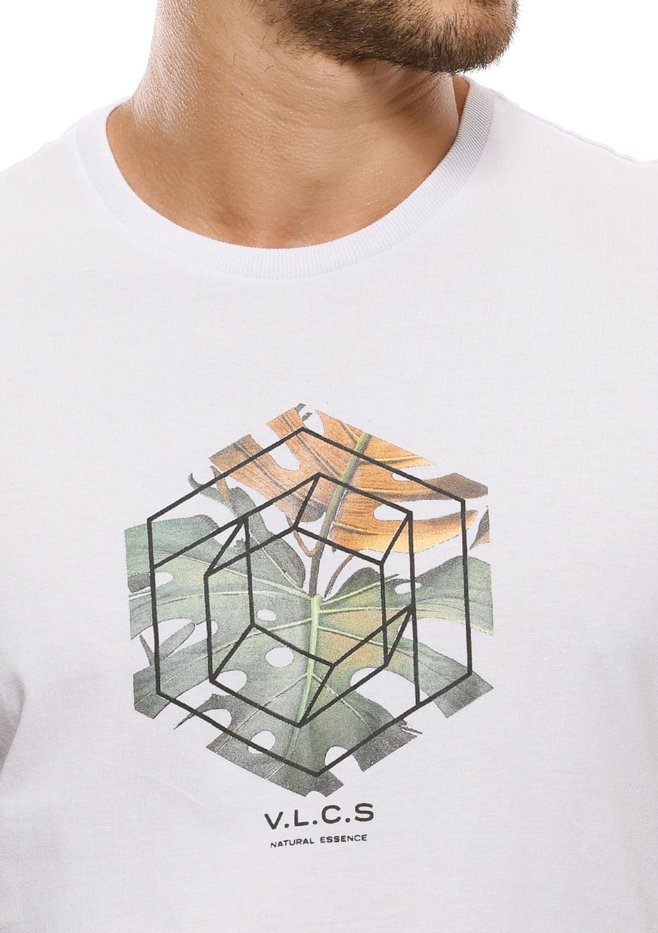 zimg 30783 1 24147 2