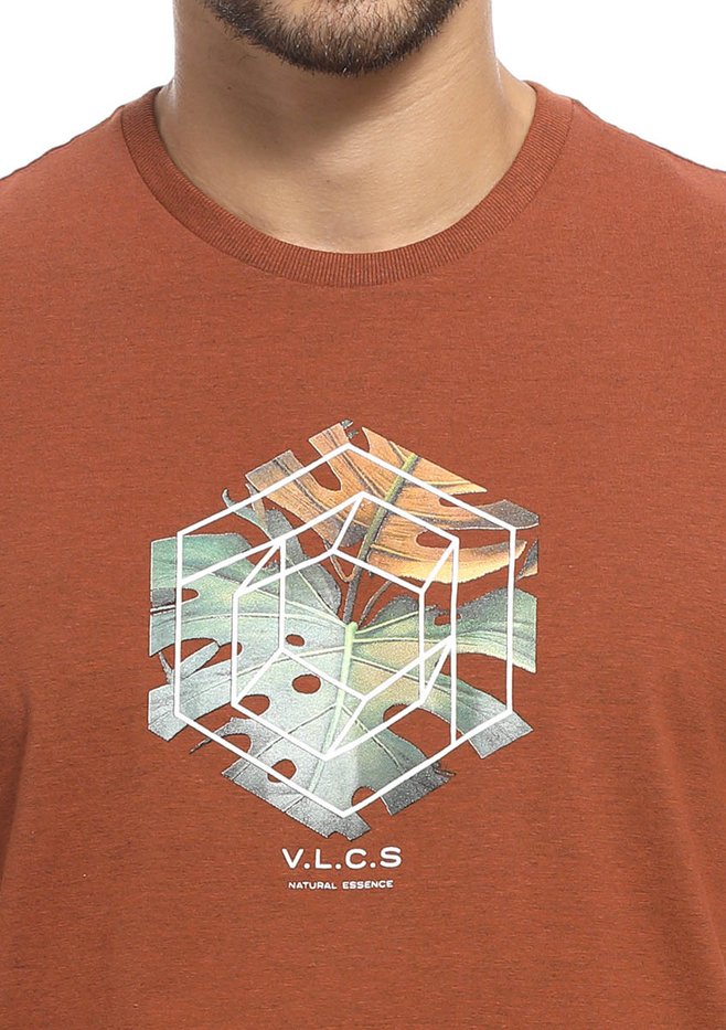 zimg 30792 1 24147 171