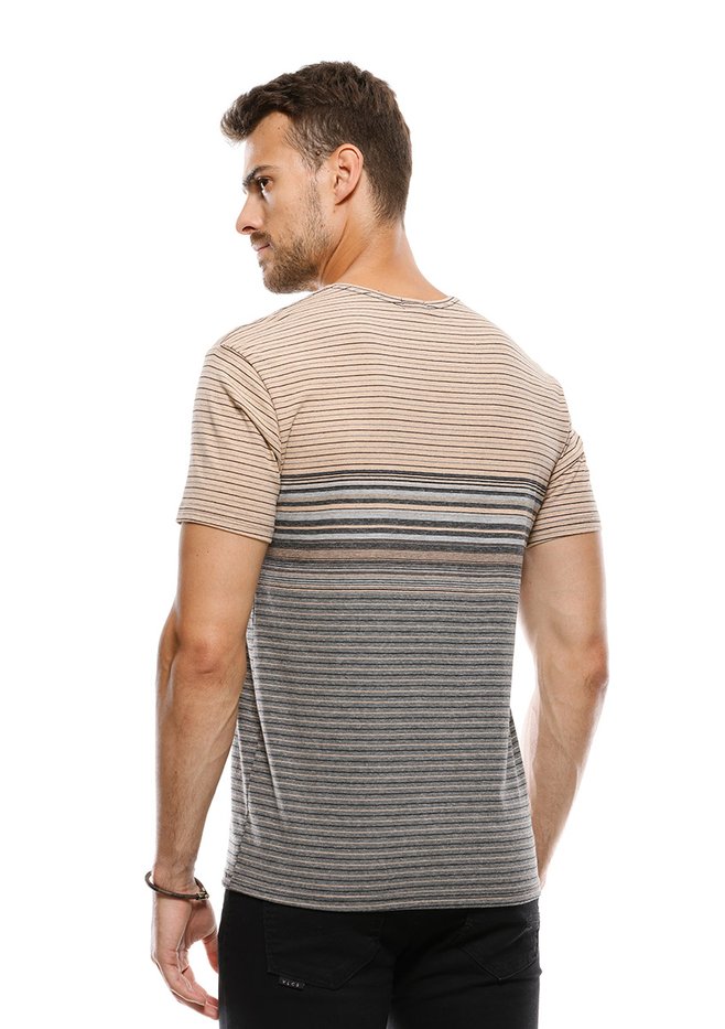 zimg 31006 2 24164 11