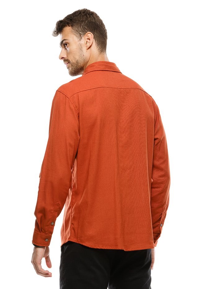 zimg 31159 2 24184 281