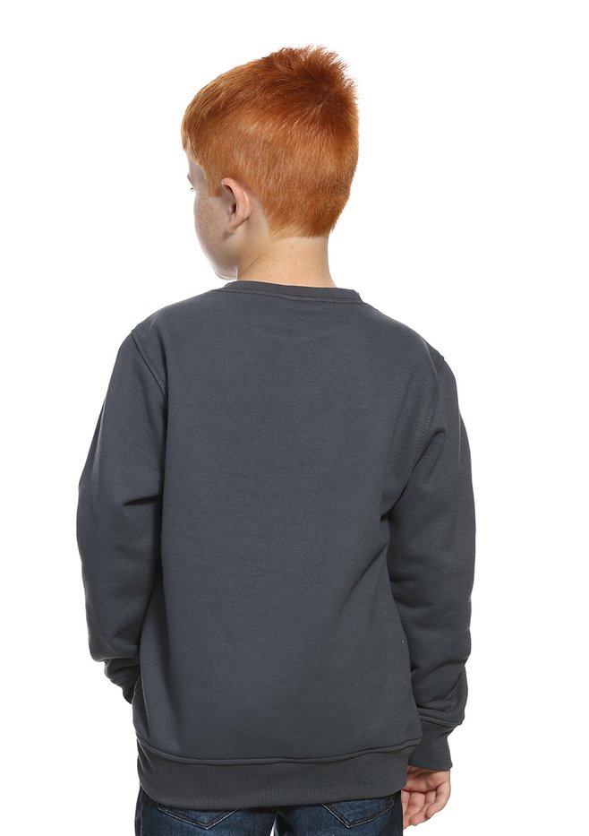 zimg 30152 2 24105i 9