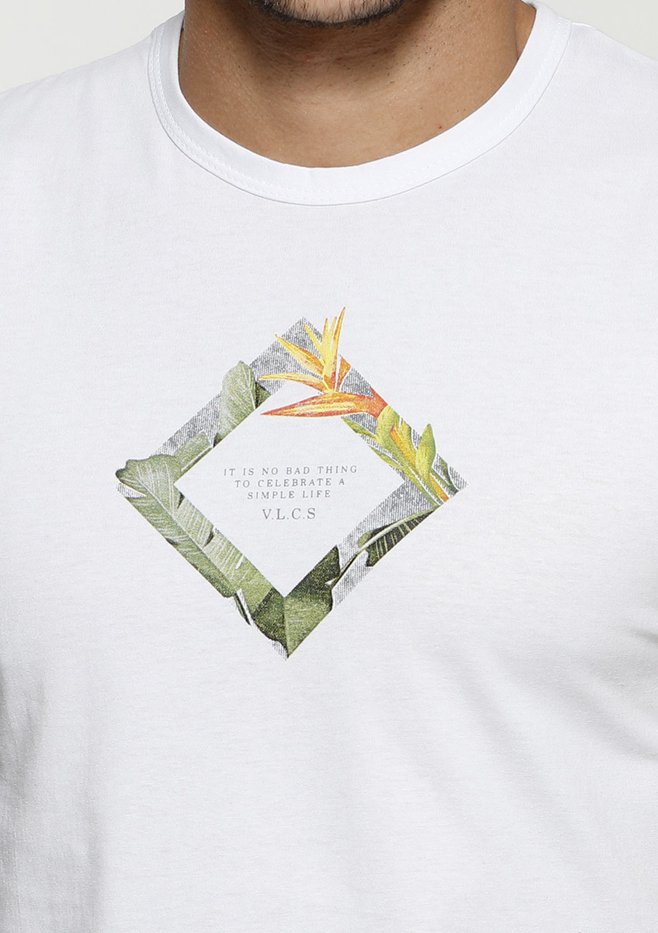 zimg 33123 1 24291 2