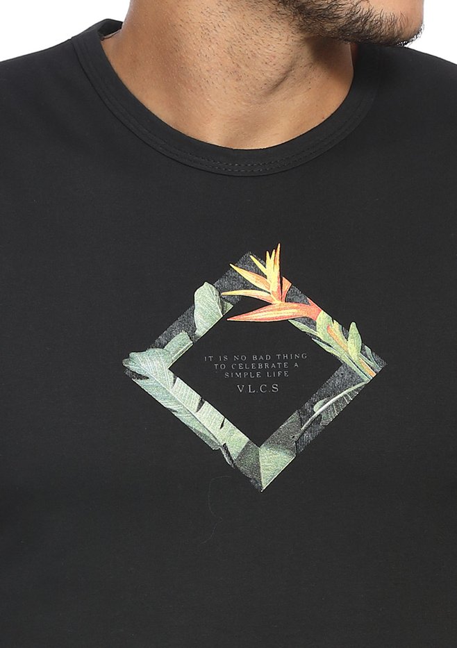 zimg 33131 1 24291 3