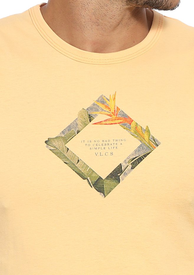 zimg 33135 1 24291 284