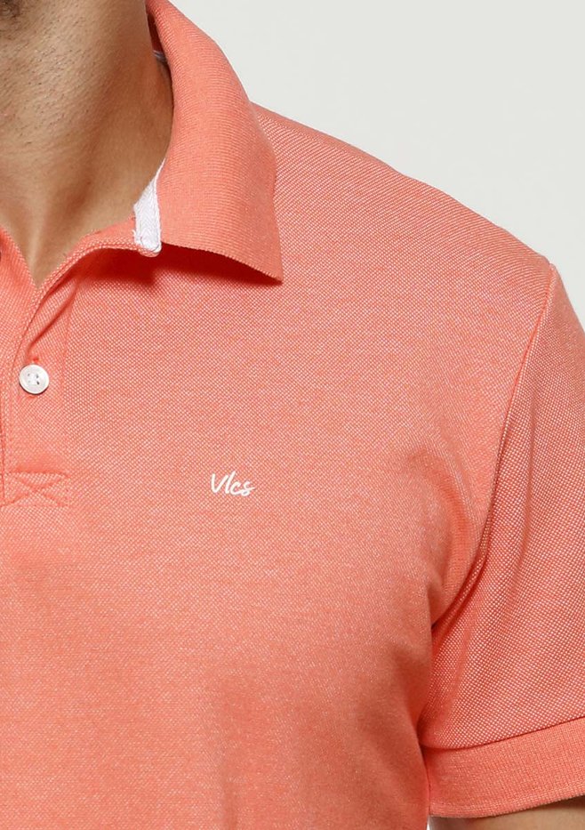 zimg 33181 1 24302 13