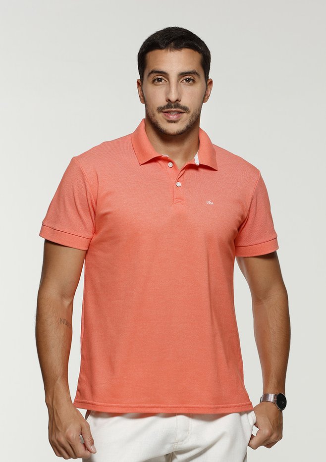 zimg 33179 2 24302 13