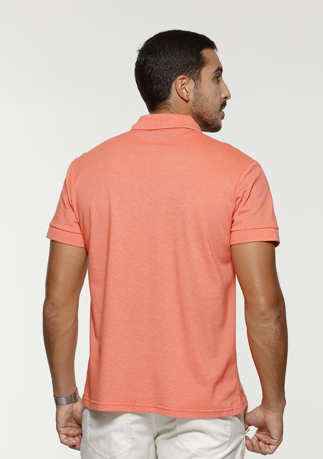 zimg 33180 2 24302 13