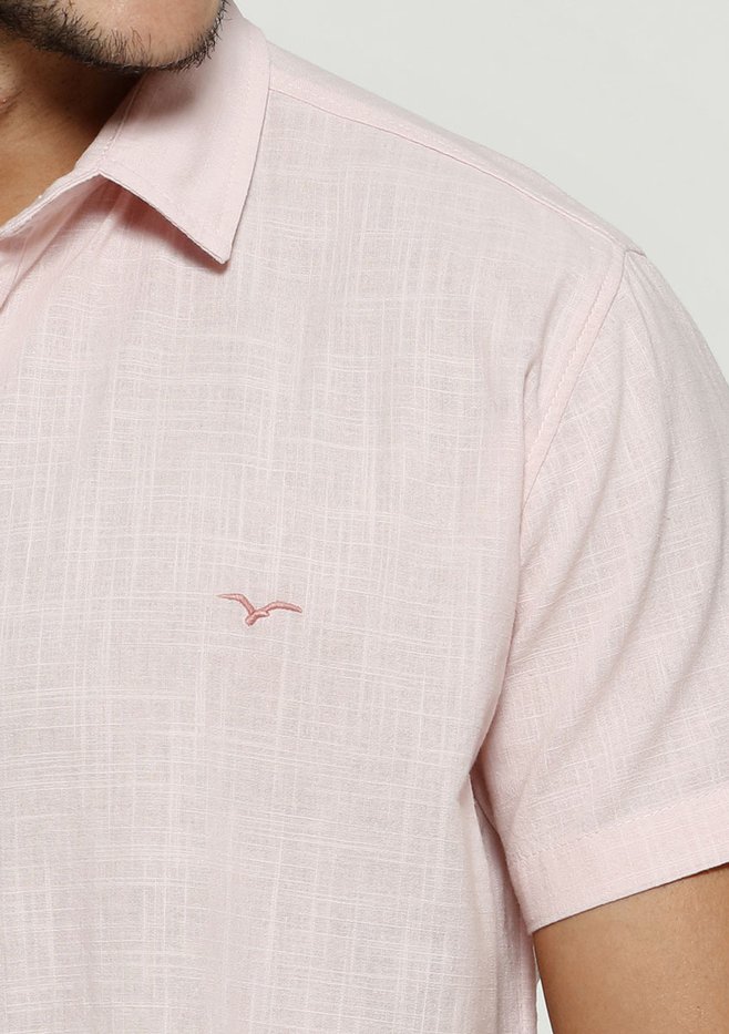 zimg 33211 1 24305 12