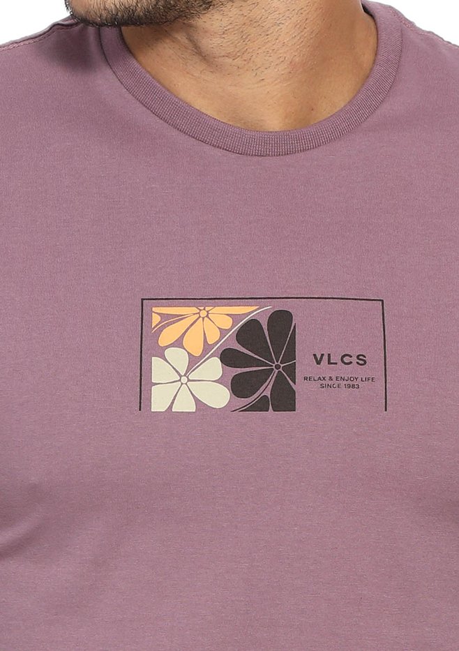 zimg 33400 1 24334 249