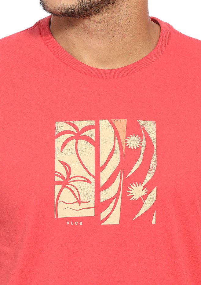 zimg 33591 1 24340 315