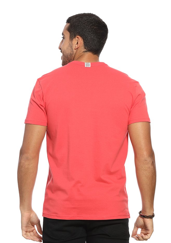 zimg 33590 2 24340 315