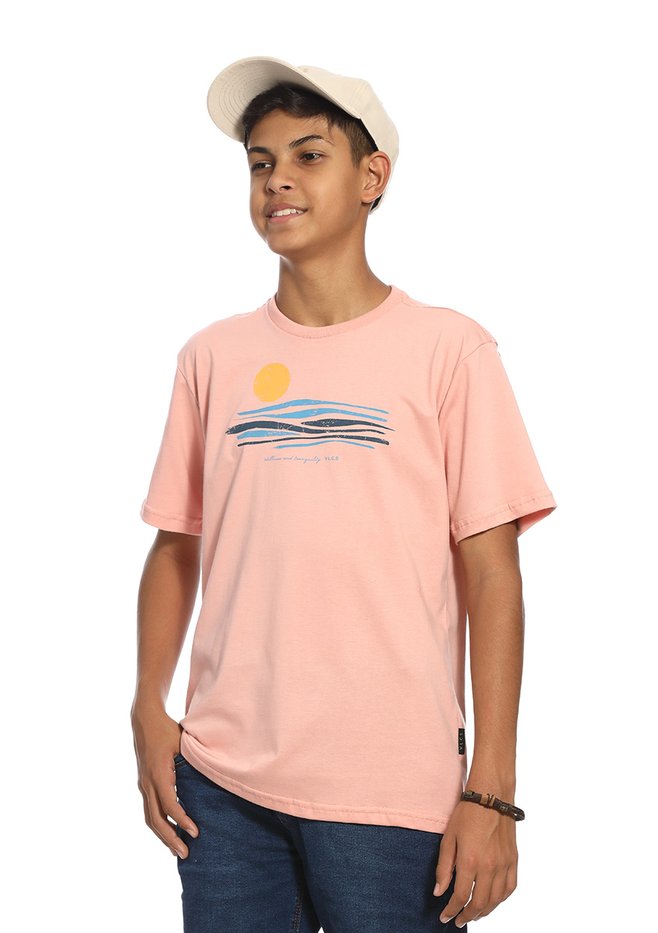 zimg 33713 2 24344j 316