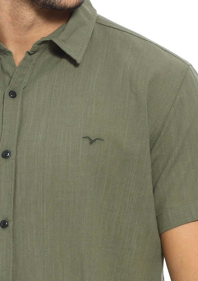 zimg 33216 1 24305 160