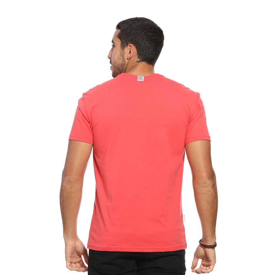 zimg 33403 2 24334 315