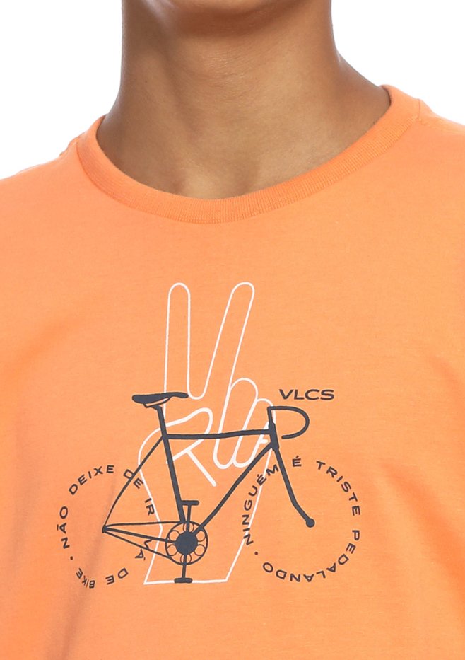 zimg 33567 1 24339j 13