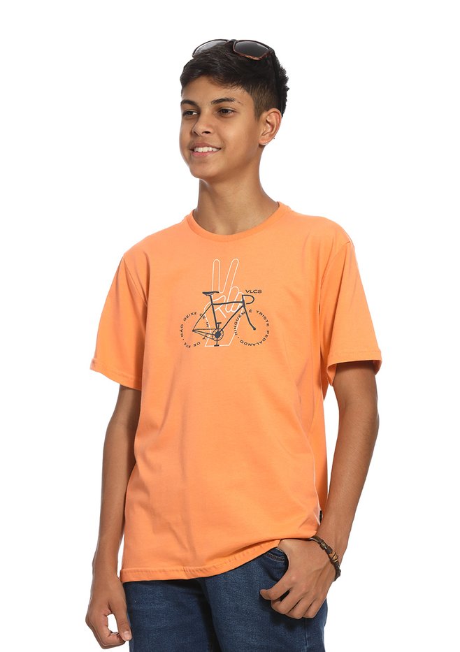 zimg 33565 2 24339j 13