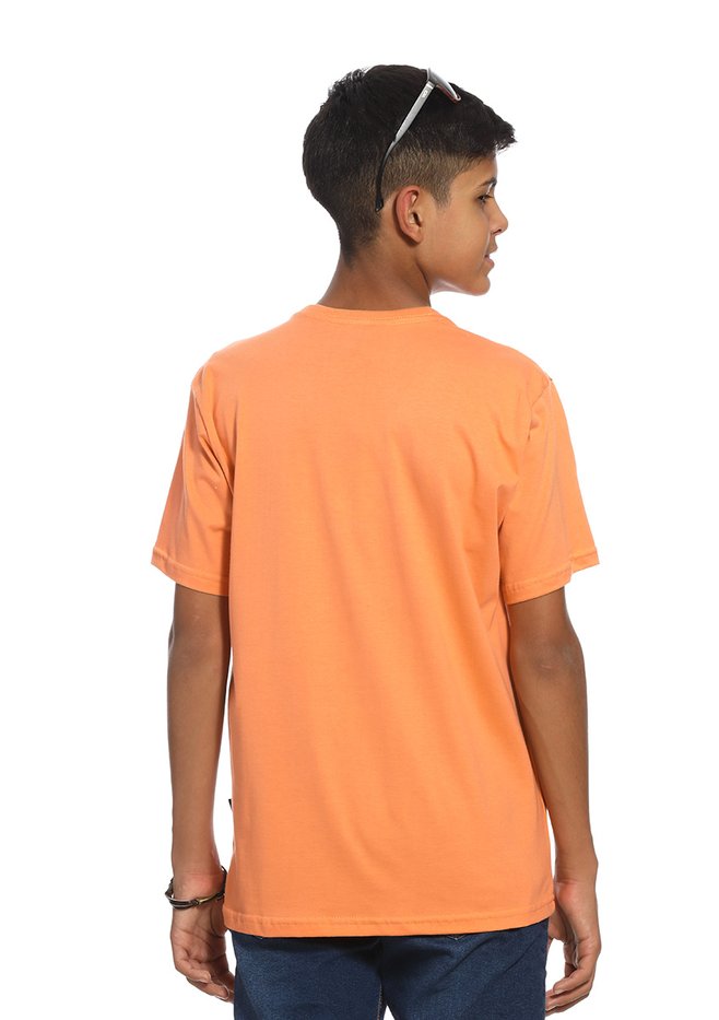 zimg 33566 2 24339j 13