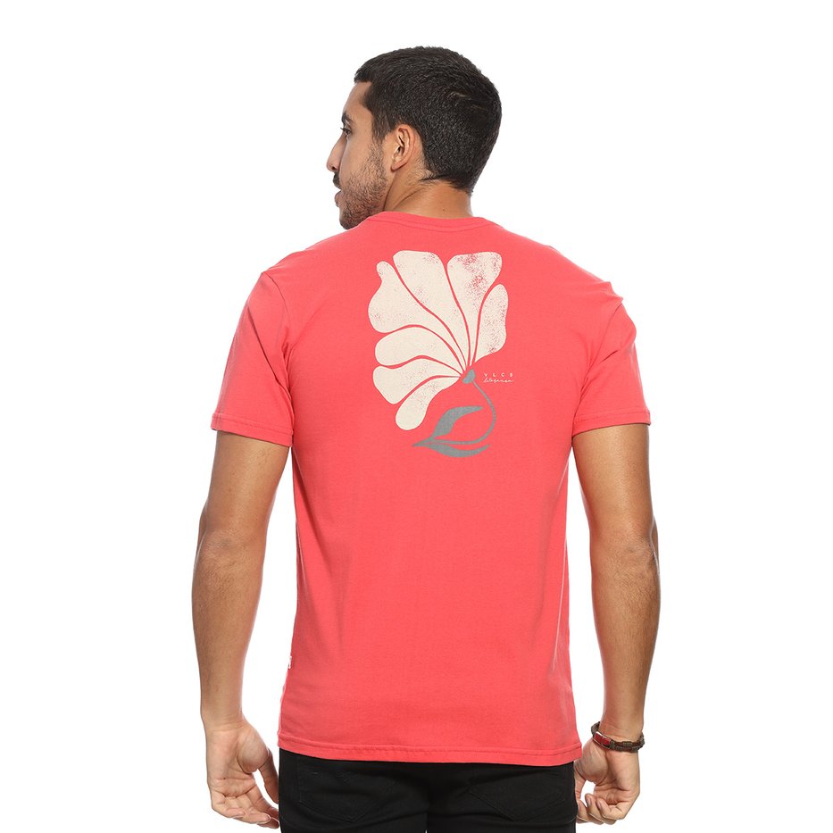 zimg 35052 0 lt24265 315