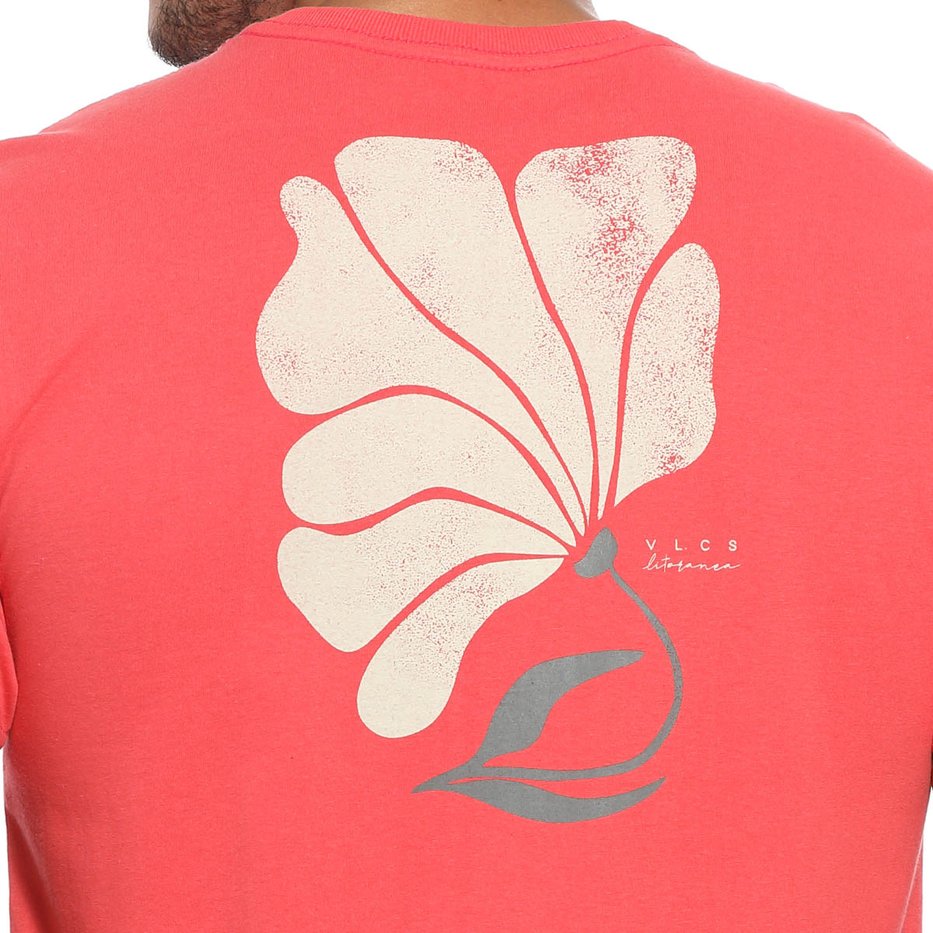 zimg 35055 1 lt24265 315